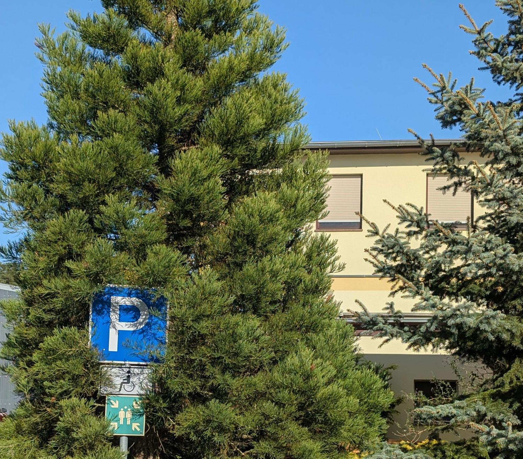Pension Zum Reiterhof, Fewo 2 Schmogrow Екстер'єр фото