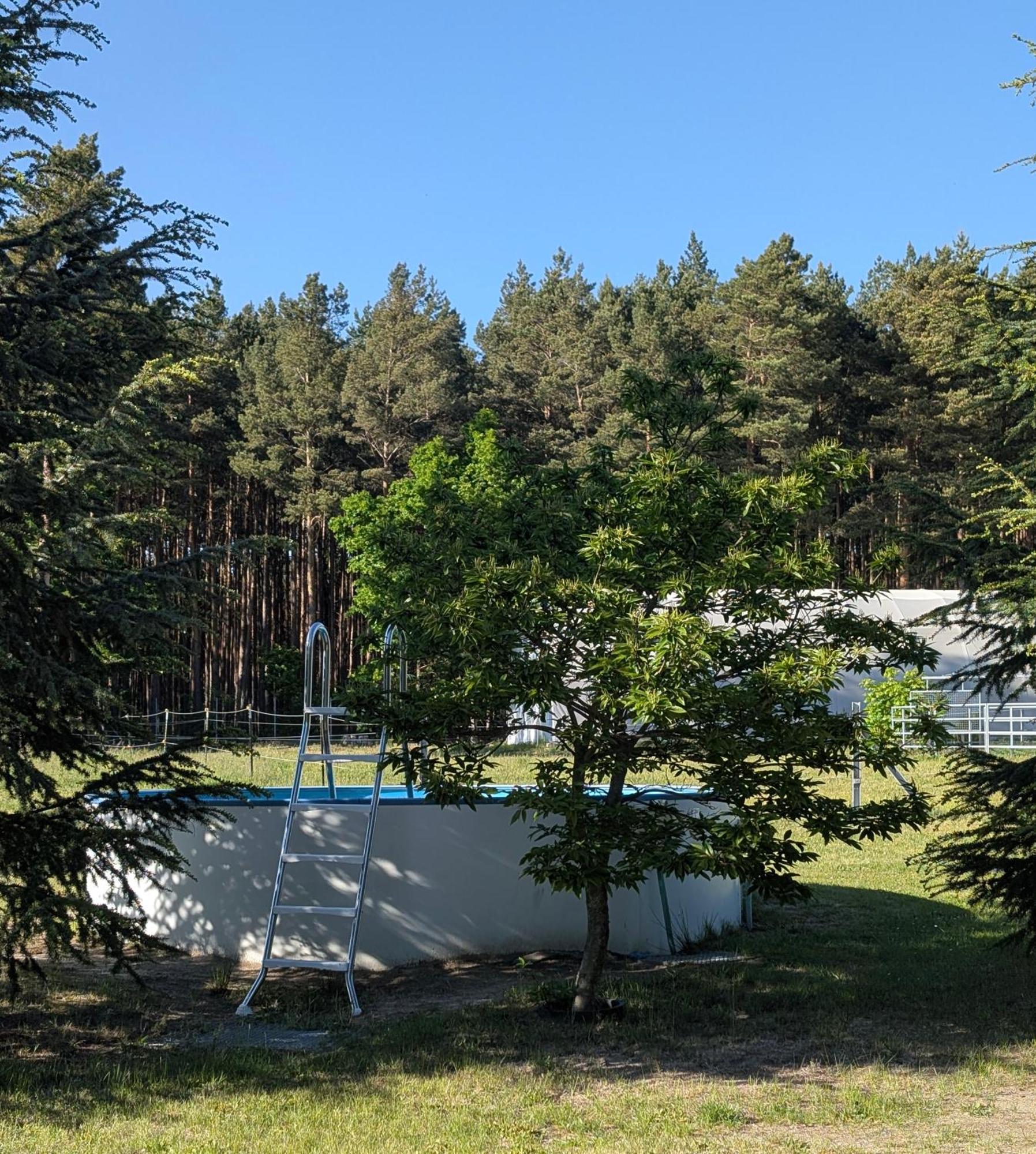Pension Zum Reiterhof, Fewo 2 Schmogrow Екстер'єр фото